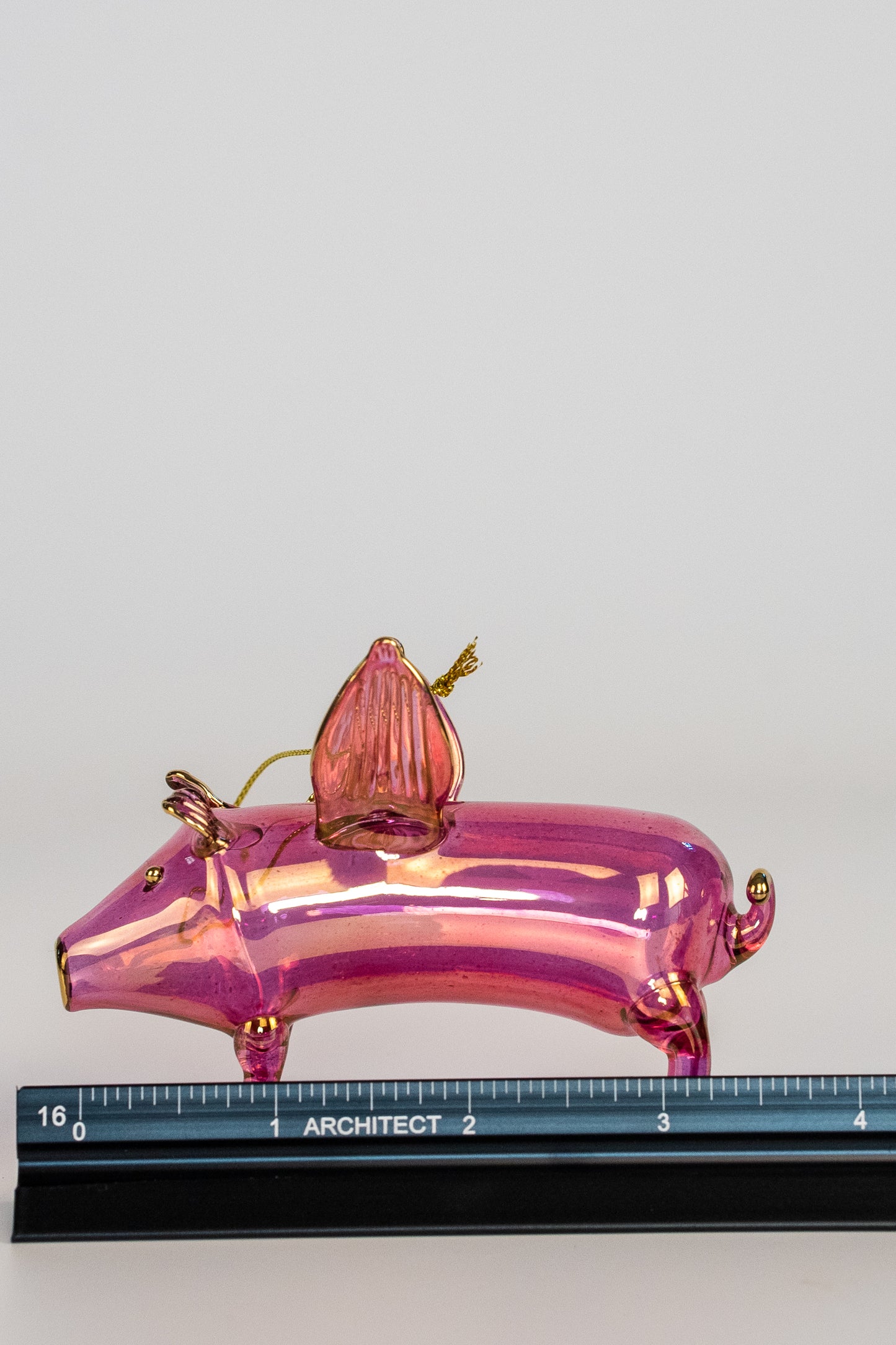 Pig 1