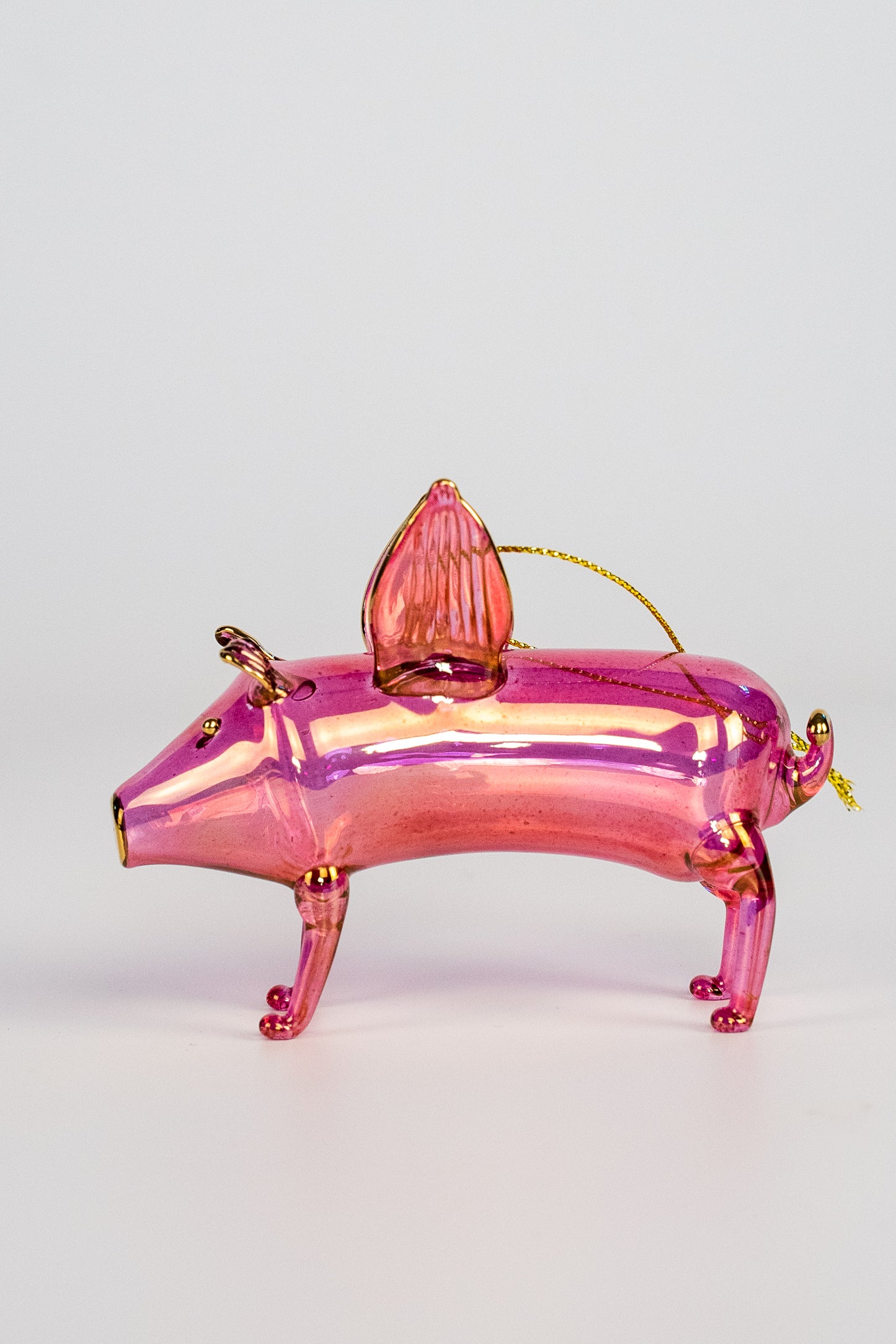 Pig 1