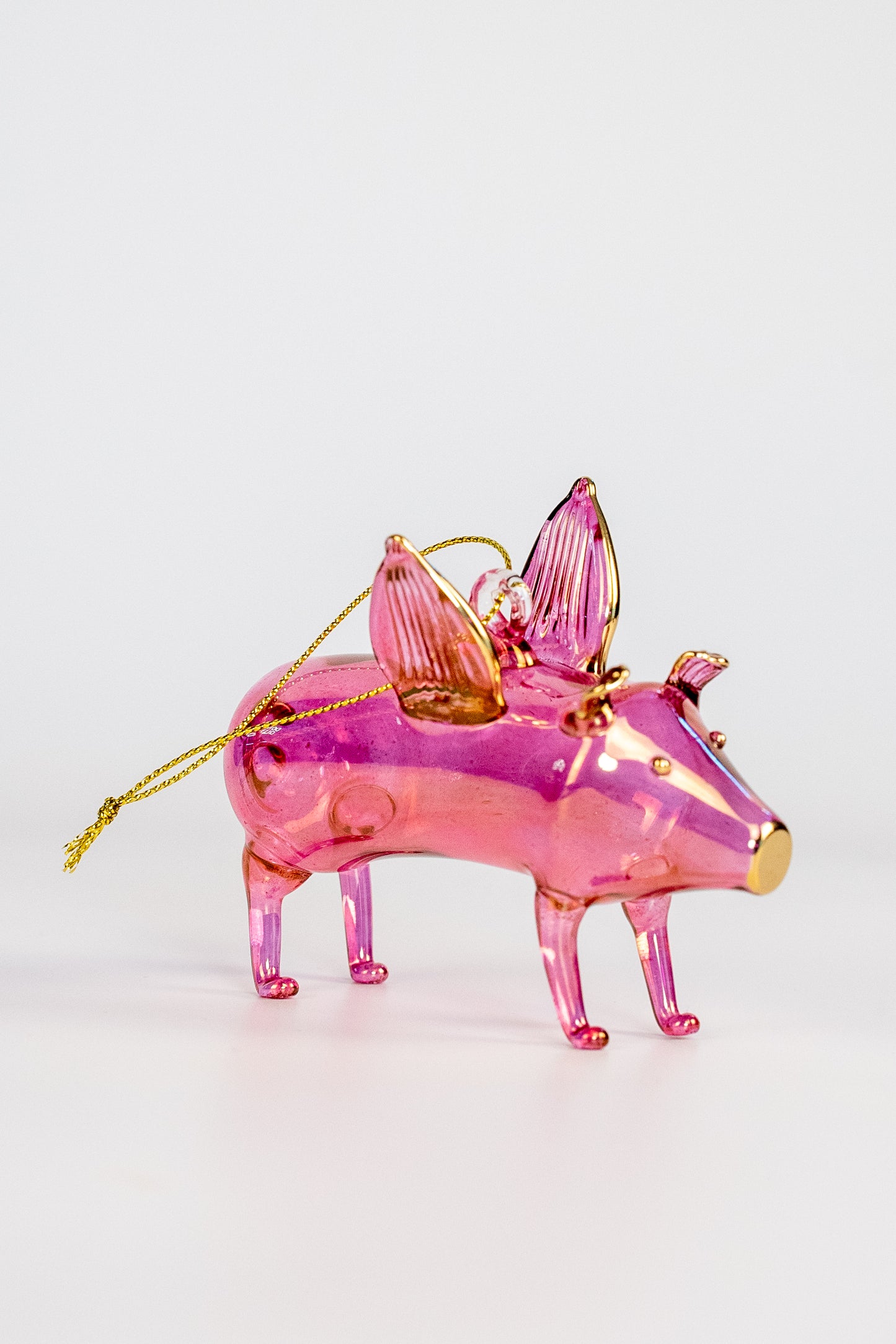 Pig 1