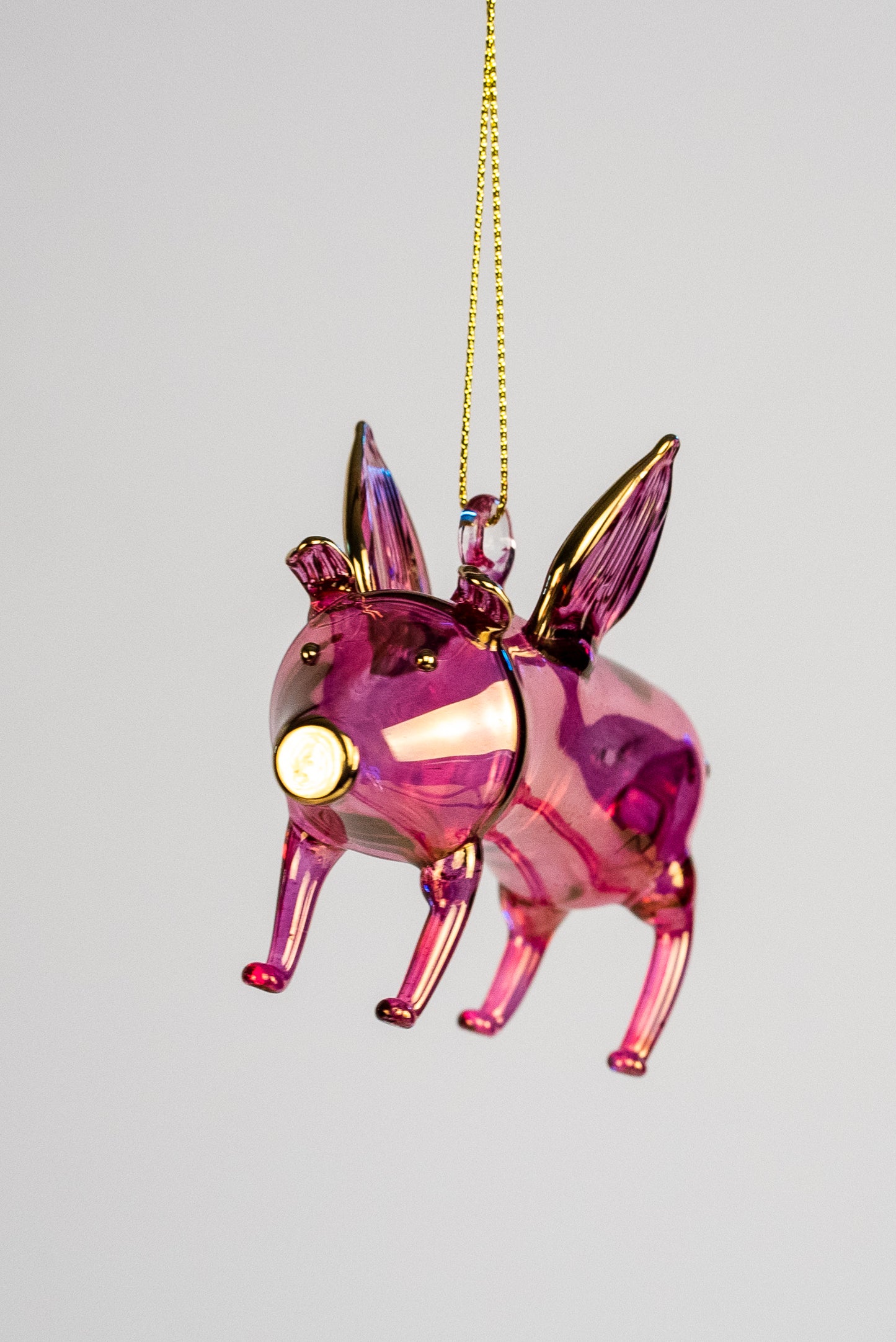 Pig 1