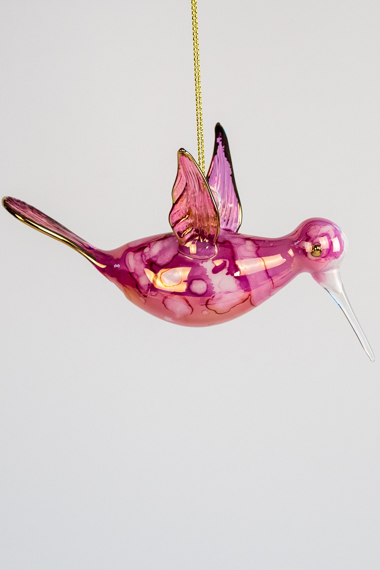 Humming Bird