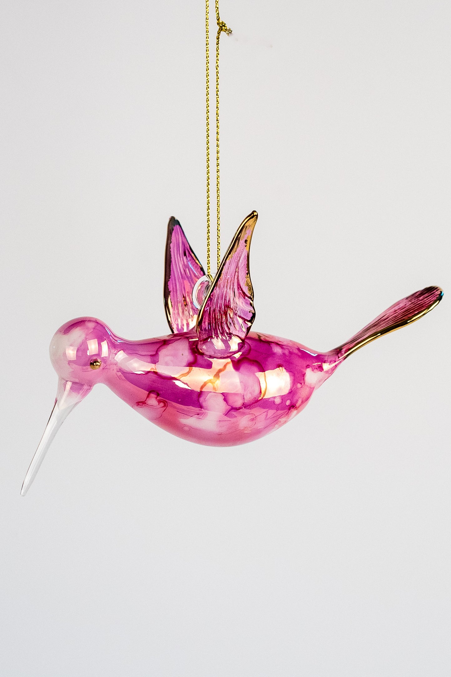 Humming Bird