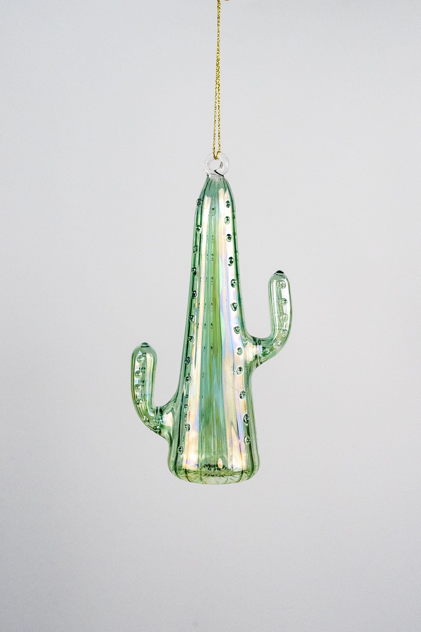 Mouth Blown Cactus Ornament 3