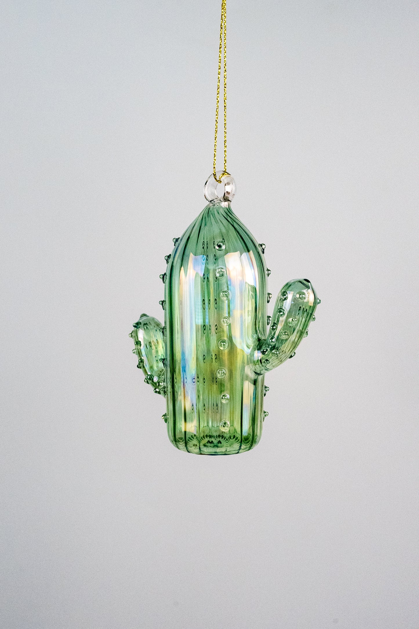 Mouth Blown Cactus Ornament 1